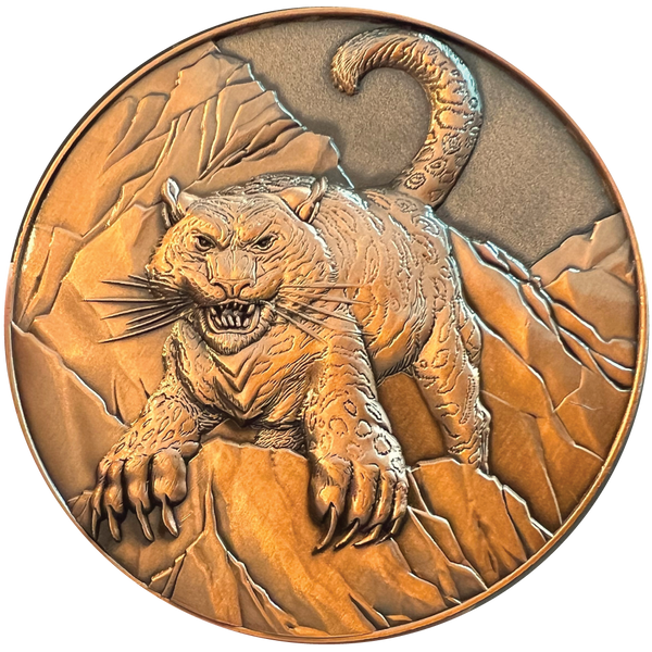 Load image into Gallery viewer, Pathfinder &quot;Lini &amp; Droogami&quot; Goliath Coin
