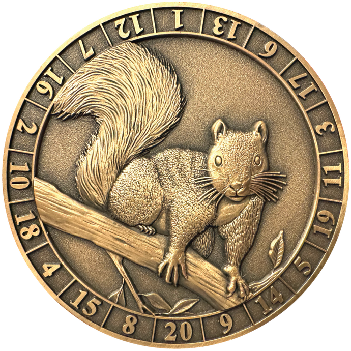 Photo of Dice Coin d20 Squirrel Familiar